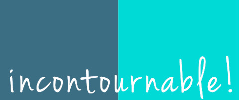 Faubourg Sagamie, incontournable